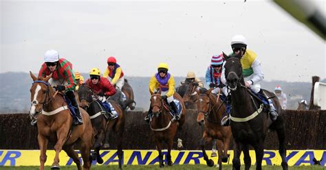 boylesports online|Horse Racing Cards Today .
